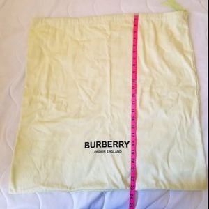 HUGE 23 x 23 Burberry 2020 Green Dustbag